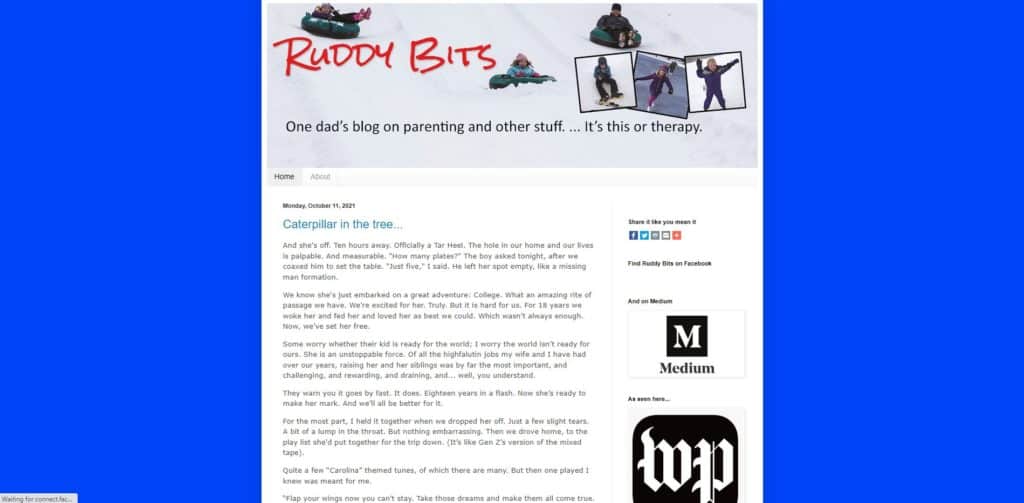screenshot of the ruddy bits homepage