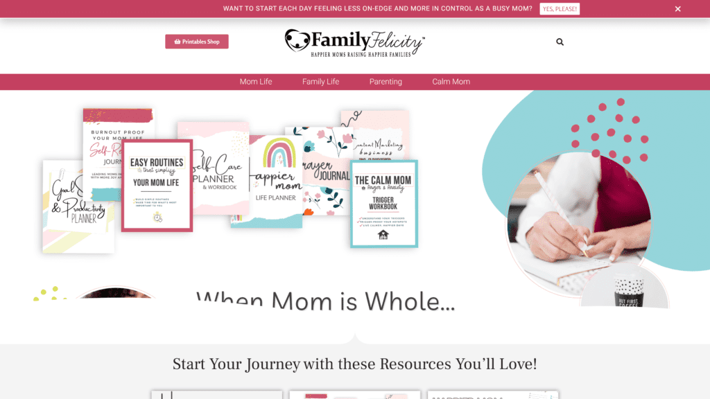 screenshot of the family-felicity homepage
