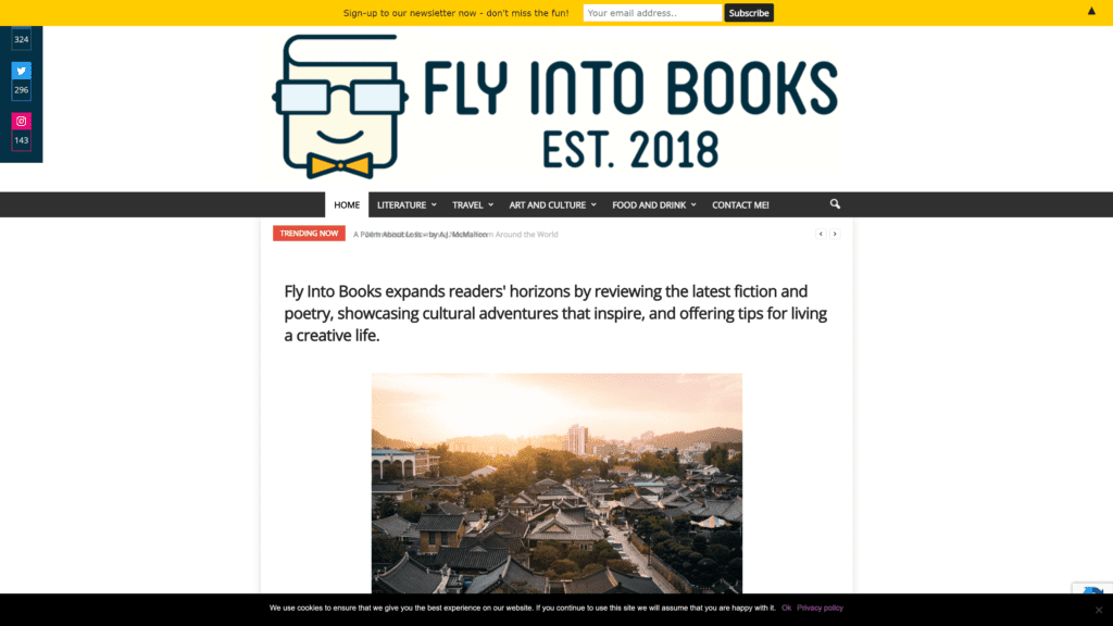 screenshot of the fly into books homepage