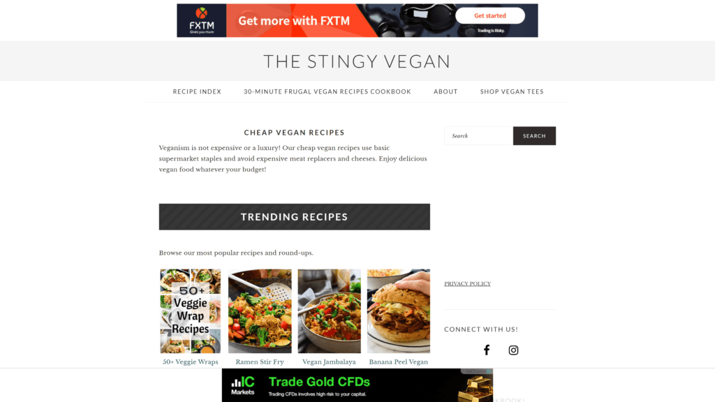 screenshot of the stingy vegan homepage
