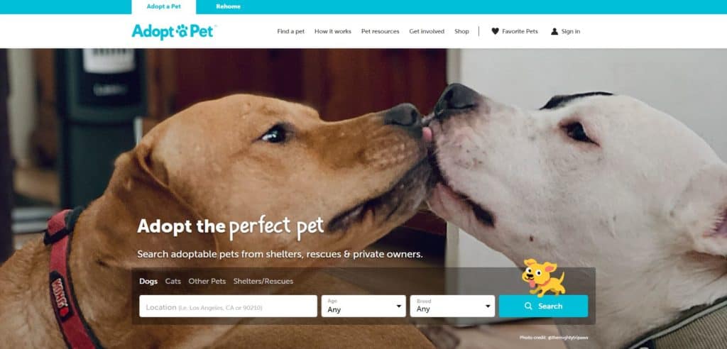 screenshot of the adopt a pet homepage