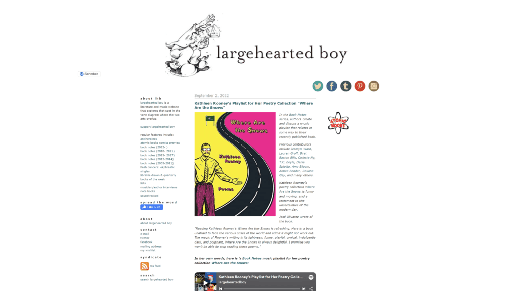 largeheartedboy homepage screenshot 1