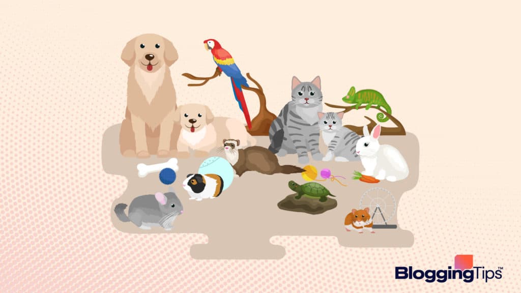 vector graphic showing an illustration of pet blogging