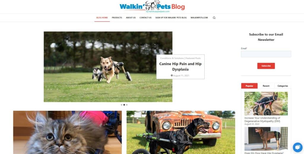 screenshot of the walkin pets homepage