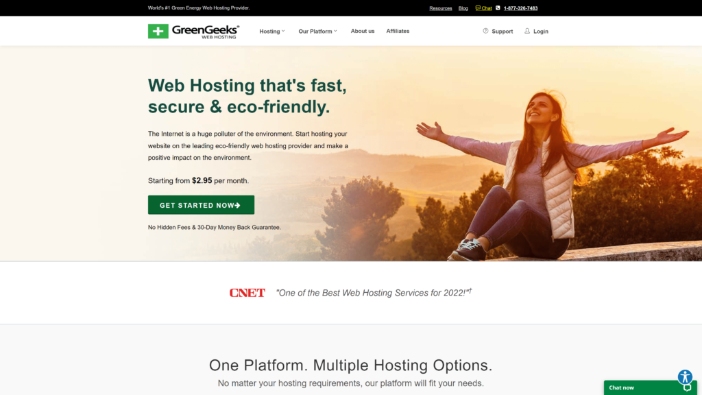 screenshot of the green geeks homepage