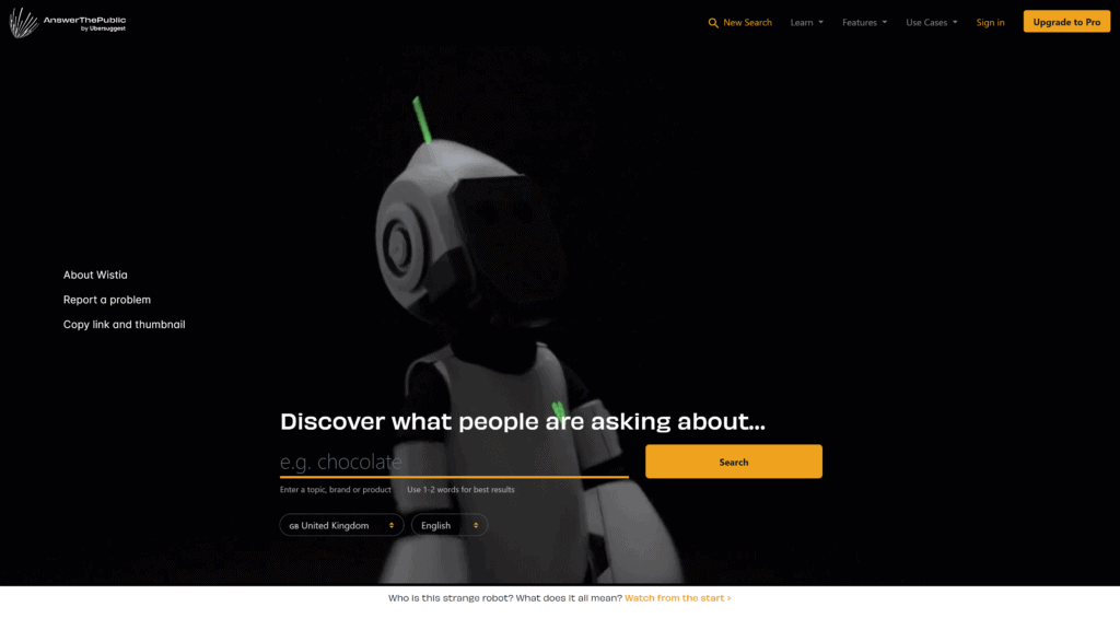 screenshot of answerthepublic homepage