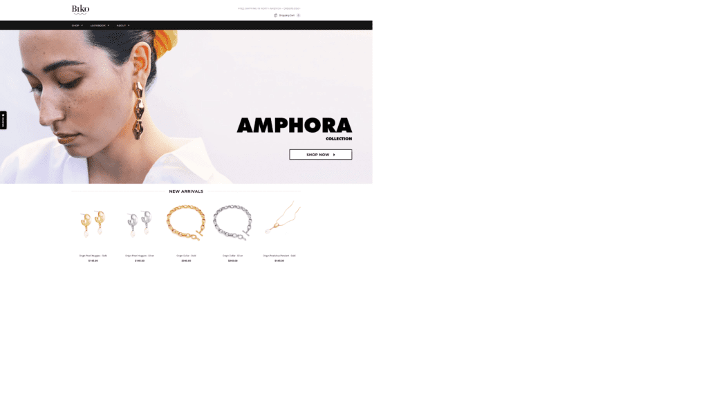 A screenshot of the biko Homepage