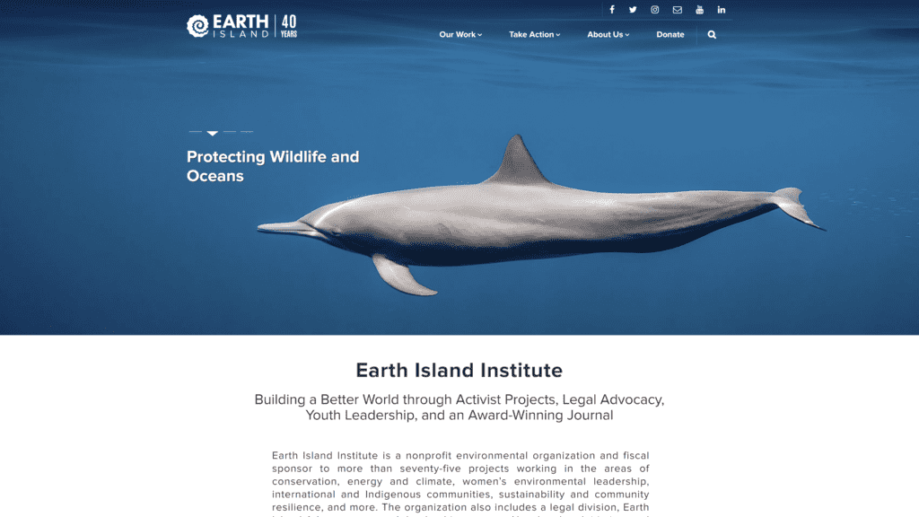 screenshot of the earth island institute homepage