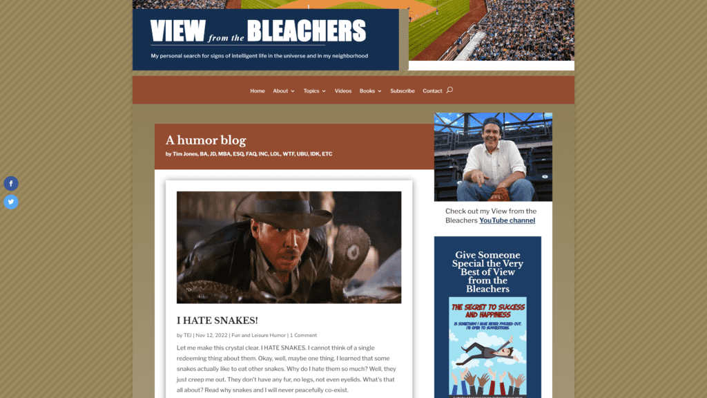 screenshot of the view from the bleachers homepage