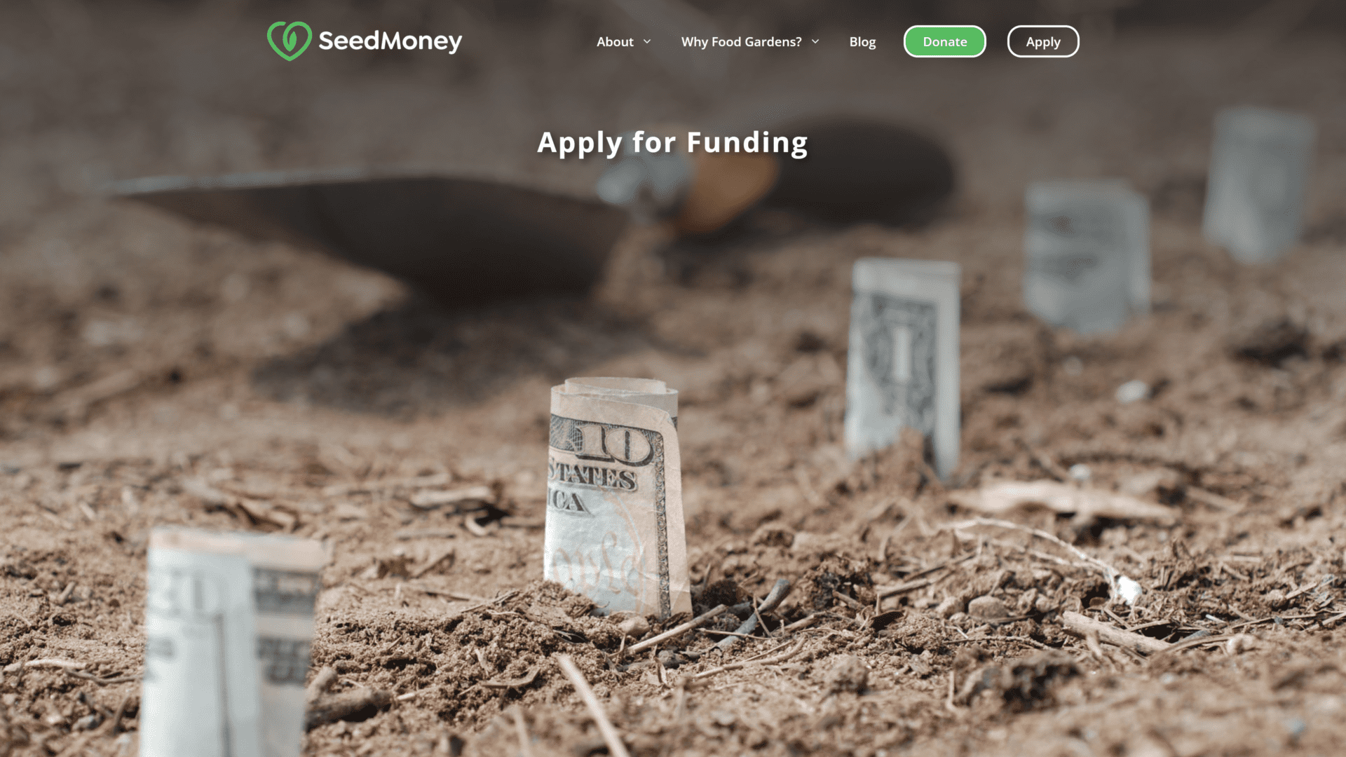 screenshot of the seed money homepage