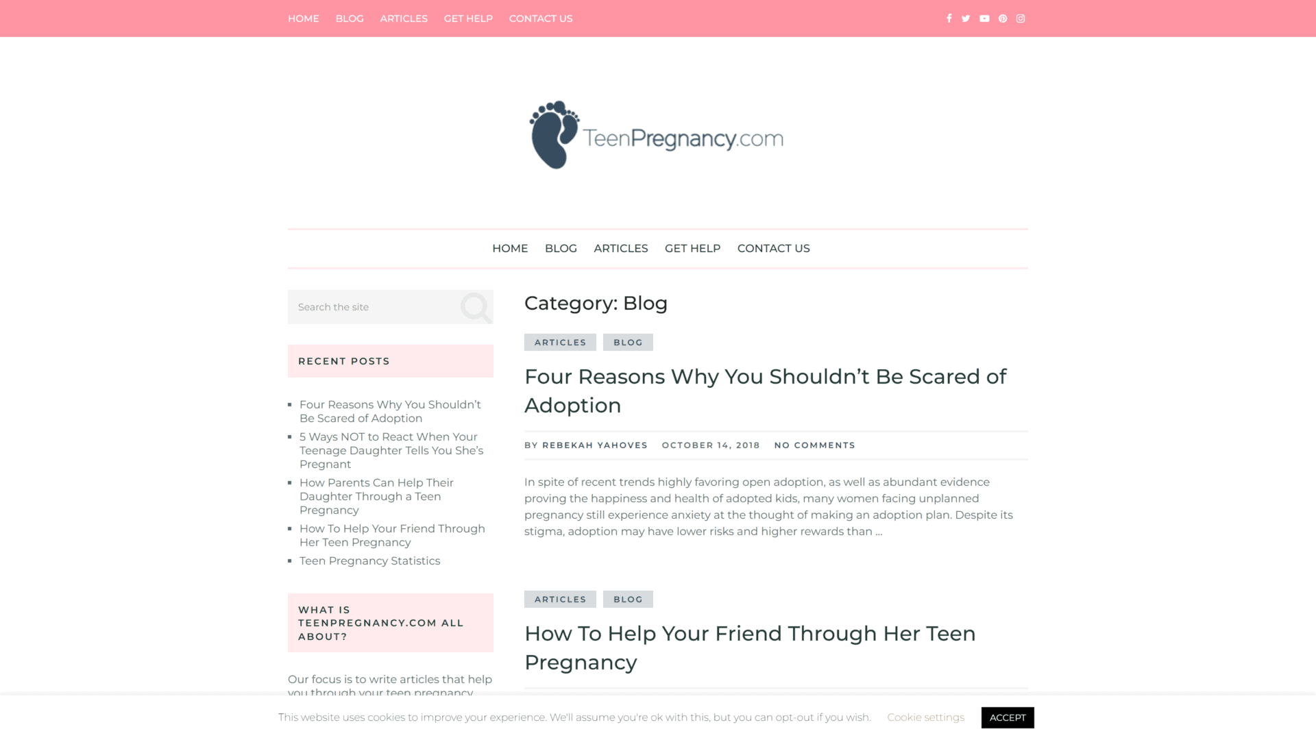 screenshot of the teen pregnancy blog homepage