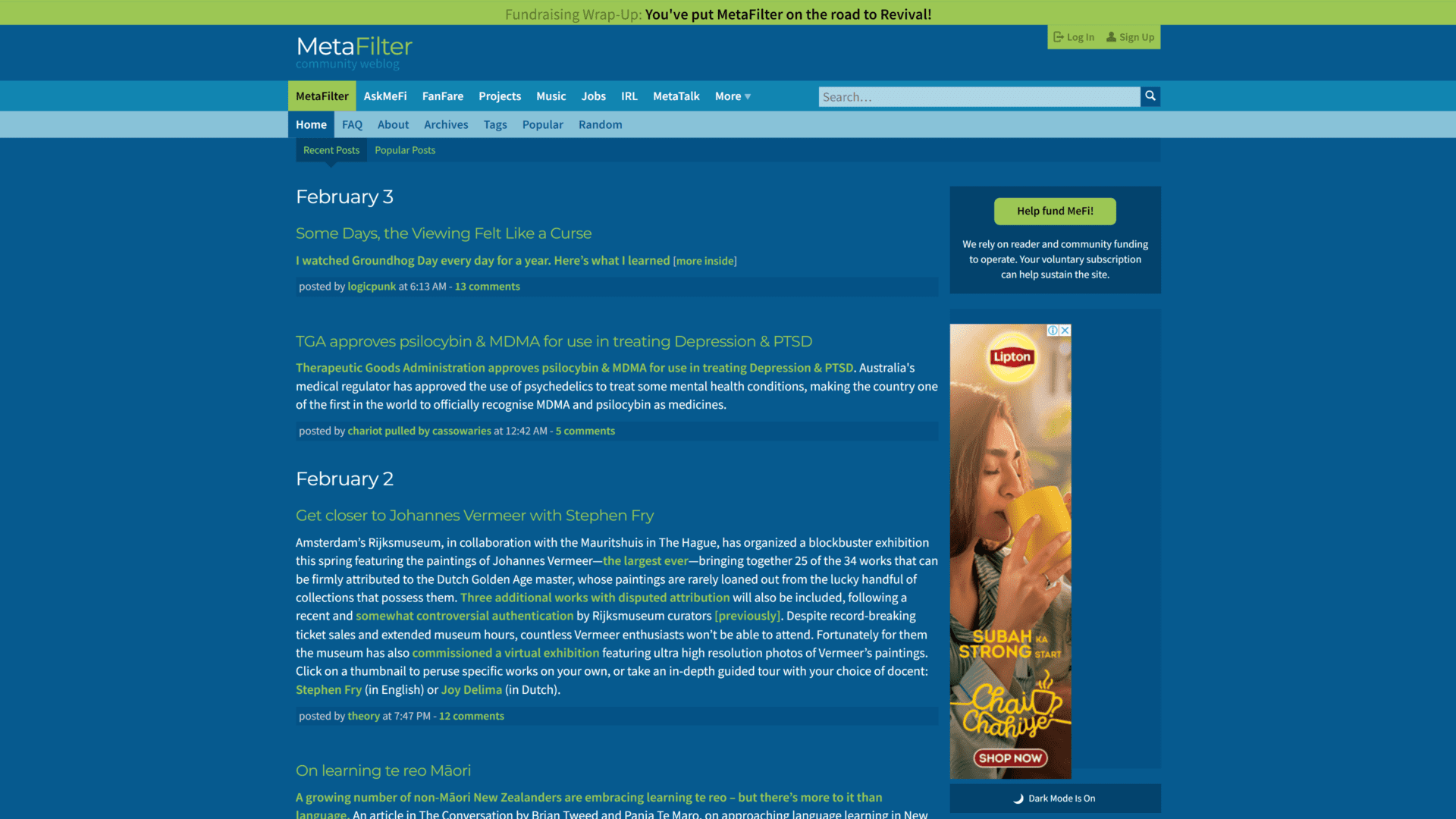 A screenshot of the meta filter homepage